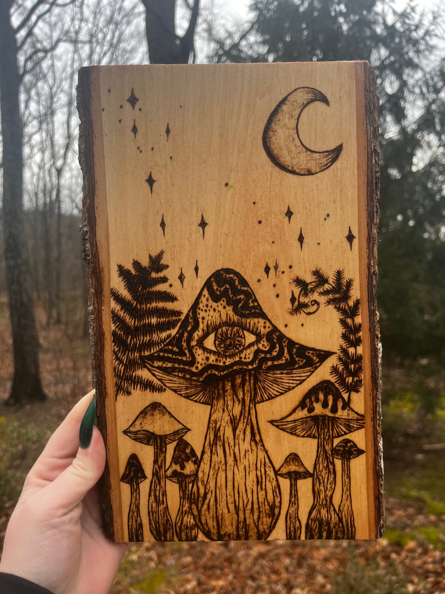 Seven Mushrooms of the Stars