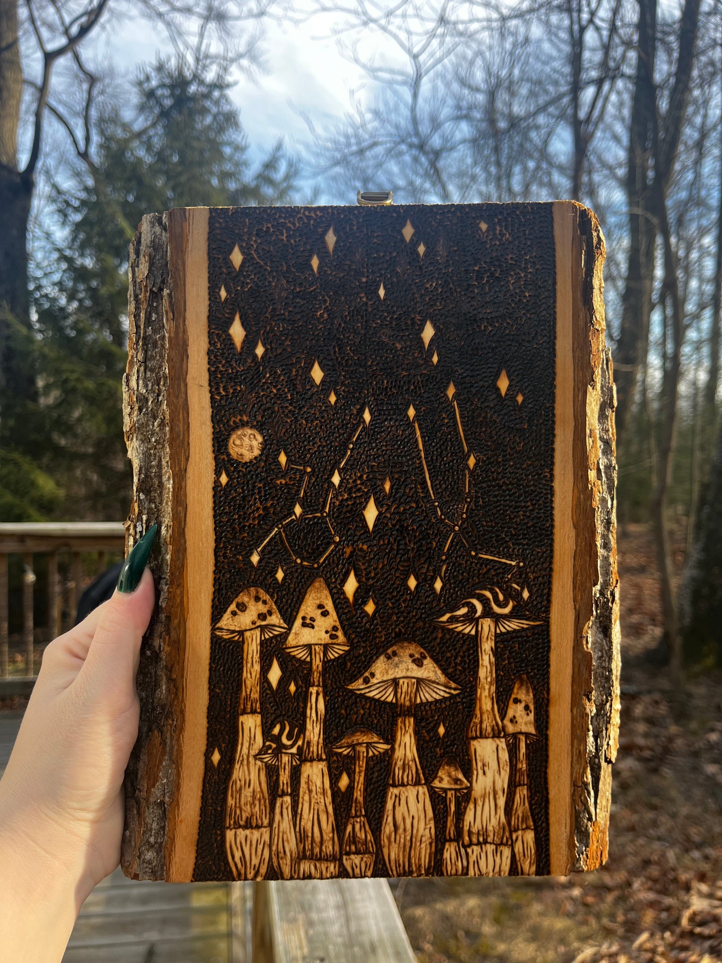 Custom Zodiac Constellation Plaque
