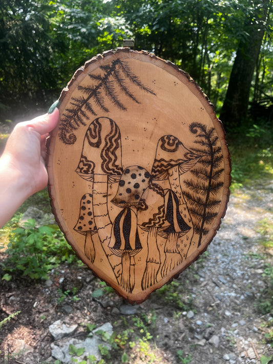 Ferns And Trippy Caps