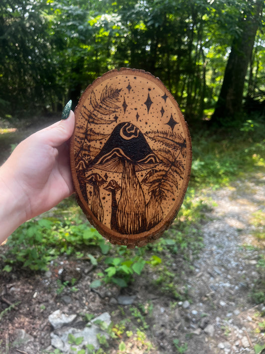 Mushies and Ferns