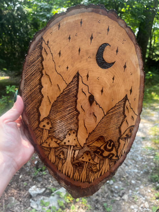 Mountains and Mushrooms Under The Stars